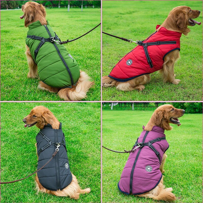 Canuvo Hundejakke med integreret sele