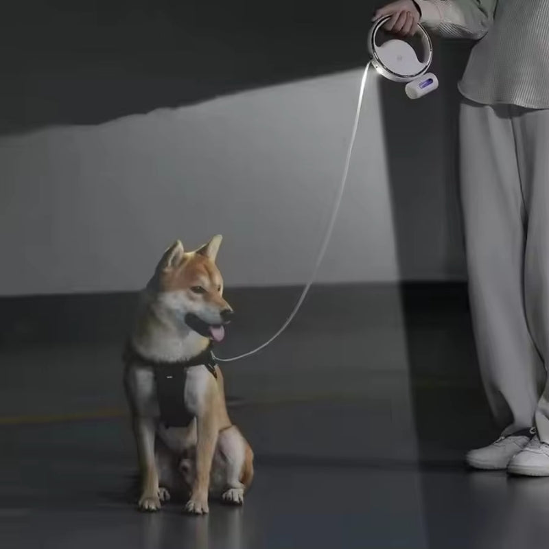 Lunavo Udtrækkelig hundesnor med LED-lys