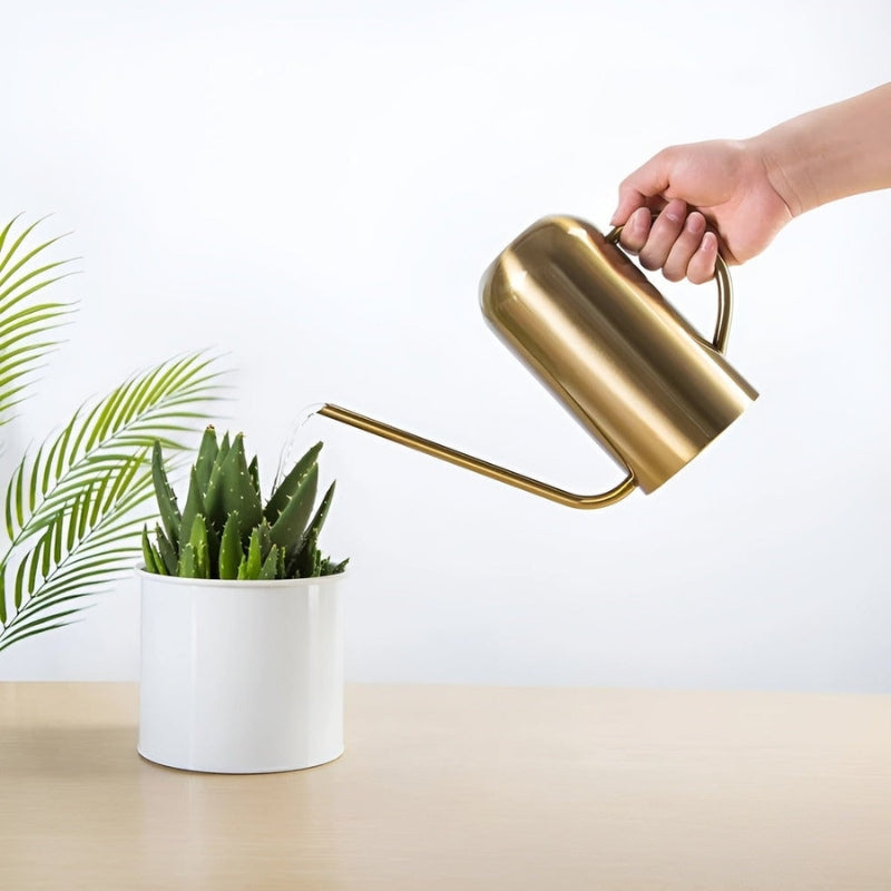 Nordessa WaterCan vandkande i rustfrit stål