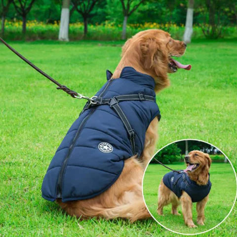 Canuvo Hundejakke med integreret sele