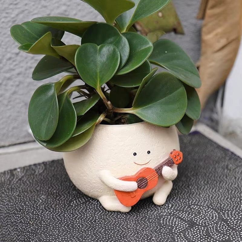 Planora plantepotte i resin – potte til bord, hylde eller have