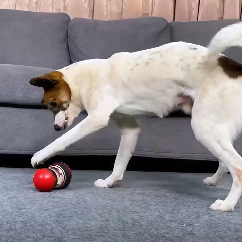 Trivox Hundelegetøj med foderudgang