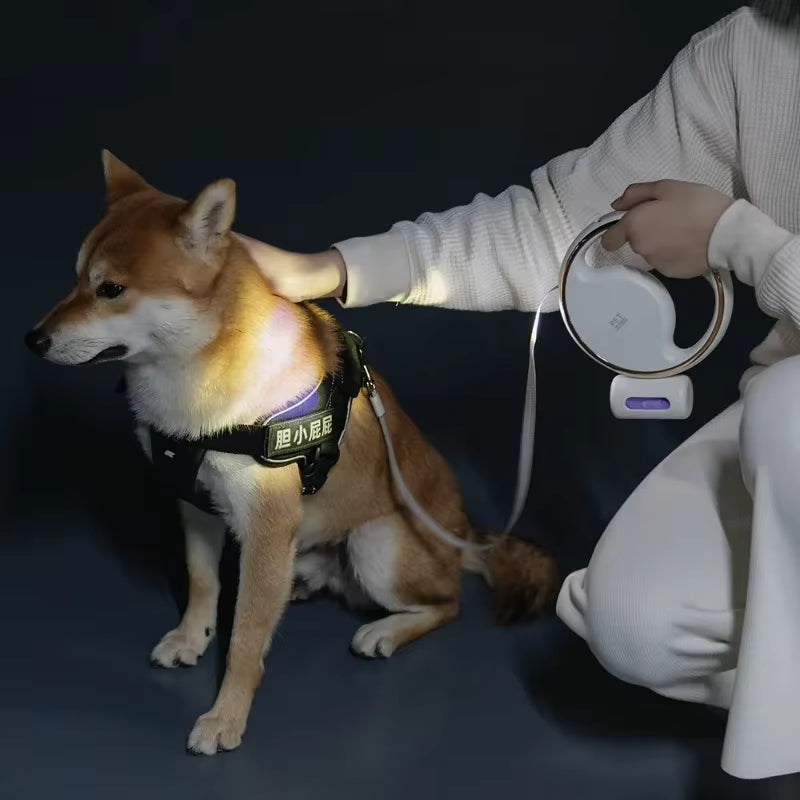 Lunavo Udtrækkelig hundesnor med LED-lys