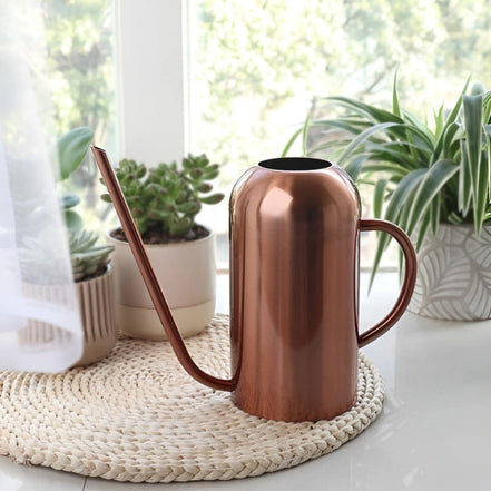 Nordessa WaterCan vandkande i rustfrit stål