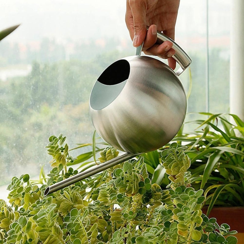Floriva vandkande rustfrit stål smal tud til indendørs planter