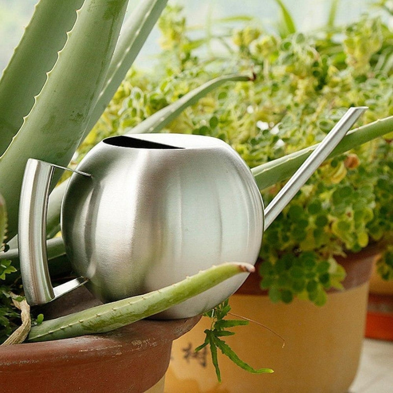 Floriva vandkande rustfrit stål smal tud til indendørs planter