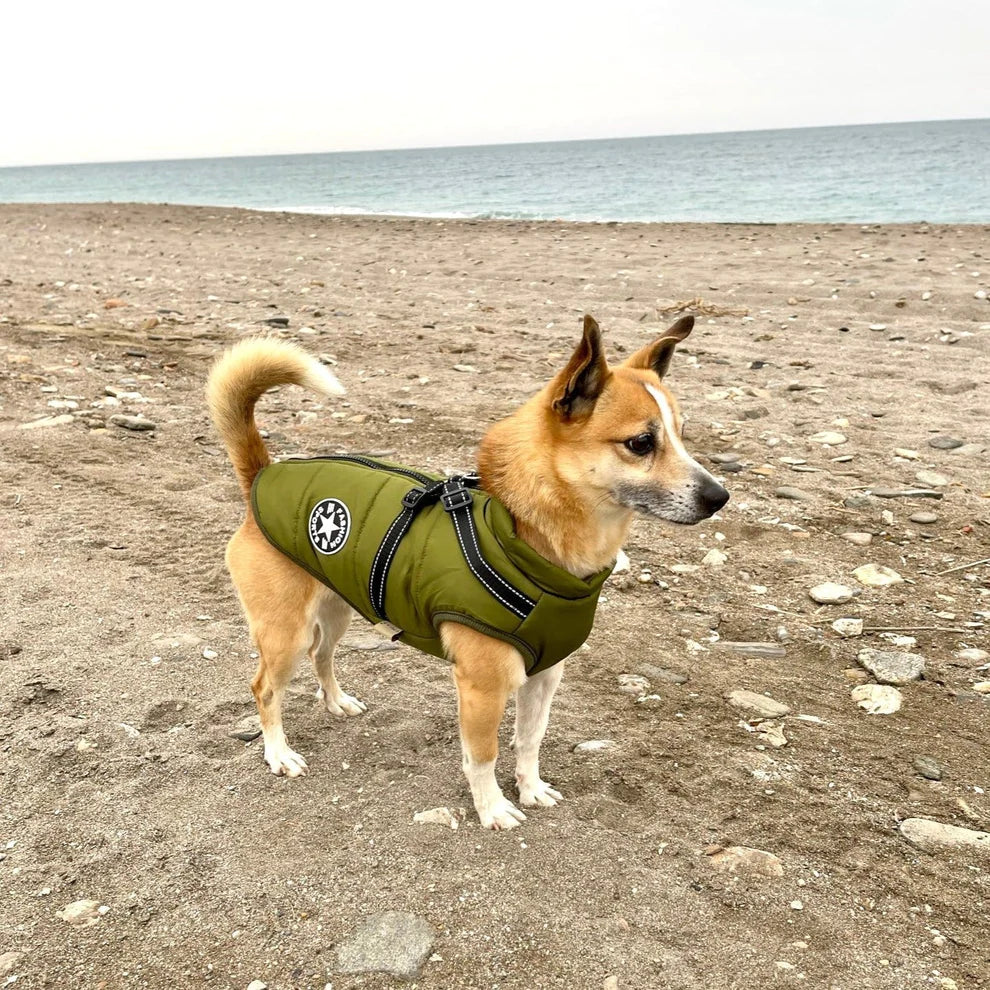 Canuvo Hundejakke med integreret sele