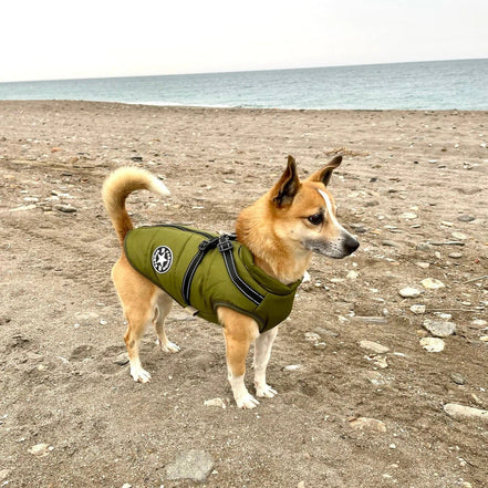 Canuvo Hundejakke med integreret sele