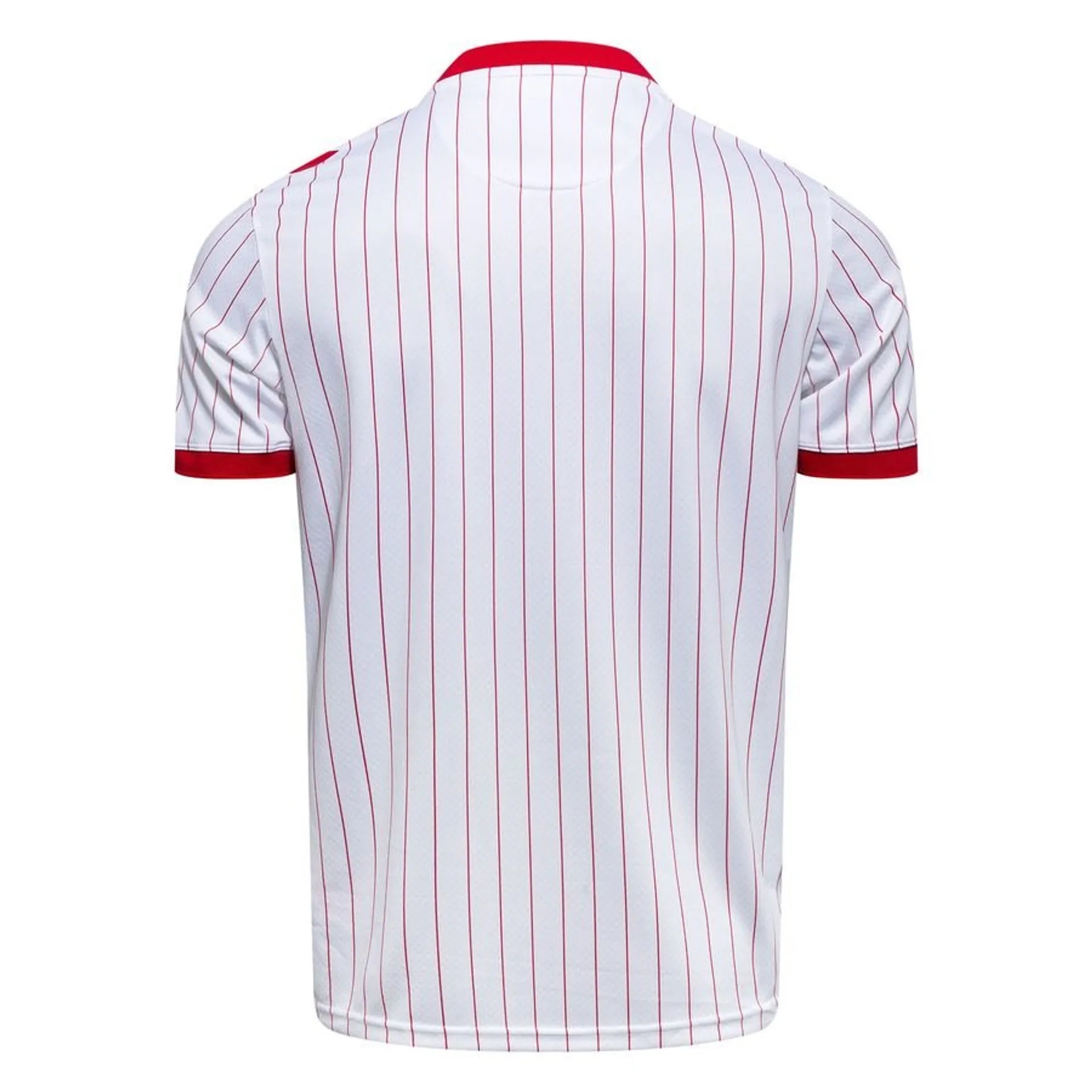 Danmark fodboldtrøje 2026 – kortærmet trøje i polyester til voksne