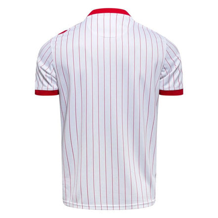 Danmark fodboldtrøje 2026 – kortærmet trøje i polyester til voksne