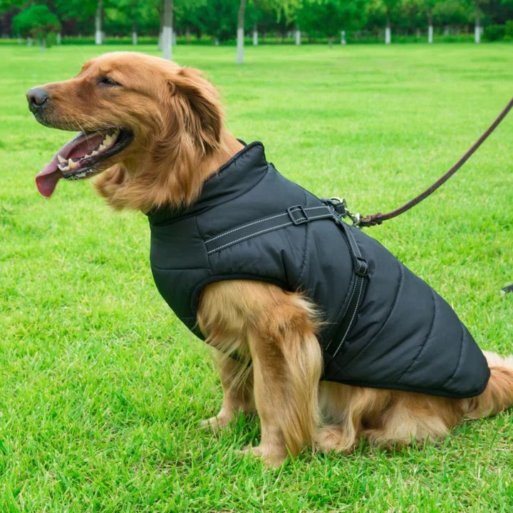 Canuvo Hundejakke med integreret sele