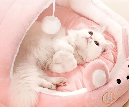 CozyNest hvileplads til kæledyr