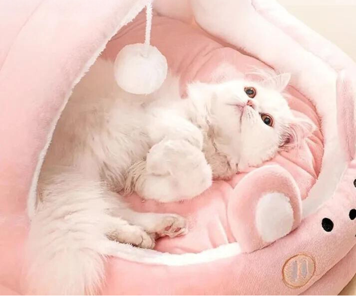 CozyNest hvileplads til kæledyr