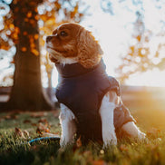 Canuvo Hundejakke med integreret sele