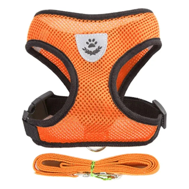 FlexPaw Mesh Sele med Line til Kat og Små Kæledyr
