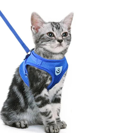 FlexPaw Mesh Sele med Line til Kat og Små Kæledyr