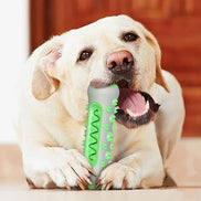 Dentuvo Tyggelegetøj til hunde