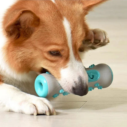 Dentuvo Tyggelegetøj til hunde