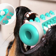 Dentuvo Tyggelegetøj til hunde