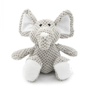 Elefant