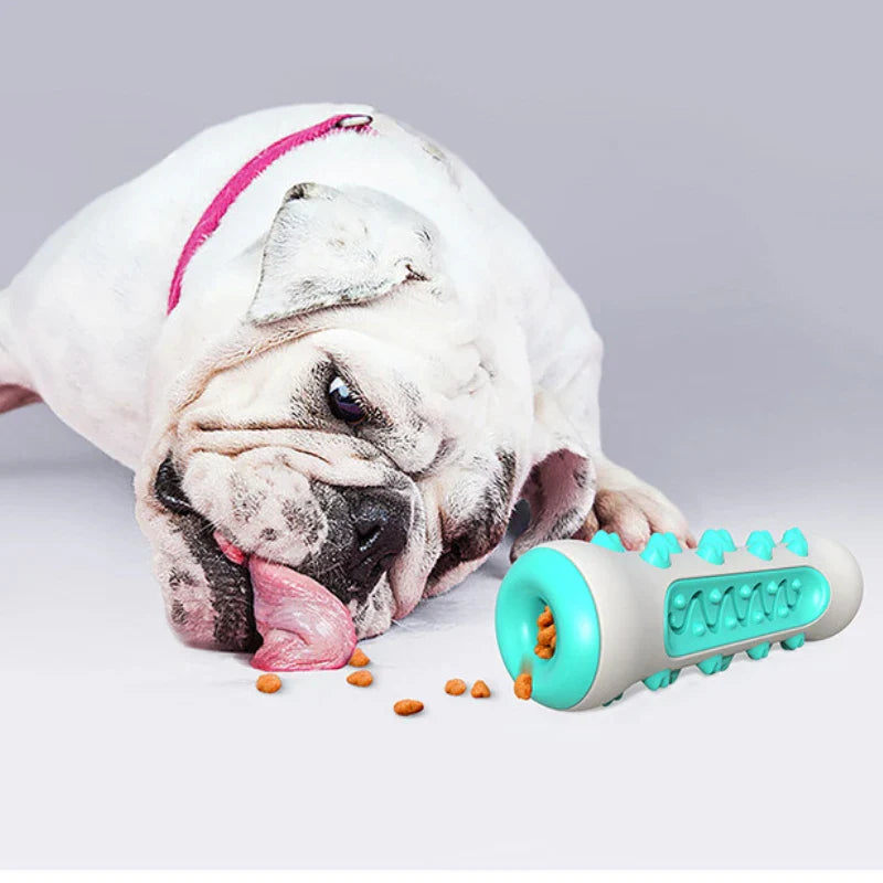 Dentuvo Tyggelegetøj til hunde