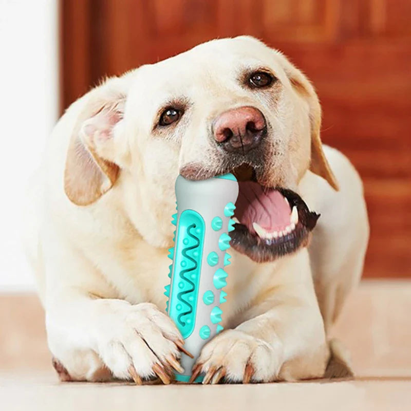 Dentuvo Tyggelegetøj til hunde