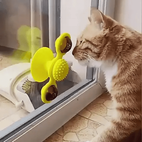 WhirlPlay interaktivt legetøj til katte