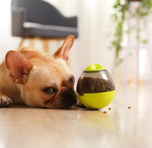 Snack & Play Æg