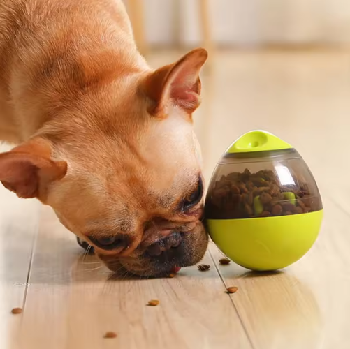 Snack & Play Æg