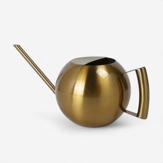 Floriva vandkande rustfrit stål smal tud til indendørs planter